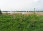 Duitsland Elly (43)